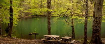 Tur Tatil Turizm Yazılımı - Tur Tatil Turizm Scripti