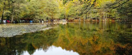 Tur Tatil Turizm Yazılımı - Tur Tatil Turizm Scripti