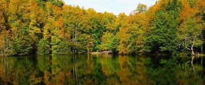 Tur Tatil Turizm Yazılımı - Tur Tatil Turizm Scripti