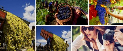 Tur Tatil Turizm Yazılımı - Tur Tatil Turizm Scripti