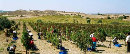 Tur Tatil Turizm Yazılımı - Tur Tatil Turizm Scripti