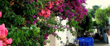 Tur Tatil Turizm Yazılımı - Tur Tatil Turizm Scripti