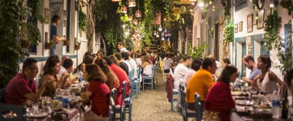 Tur Tatil Turizm Yazılımı - Tur Tatil Turizm Scripti