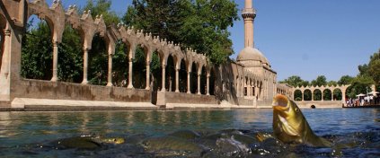 Tur Tatil Turizm Yazılımı - Tur Tatil Turizm Scripti