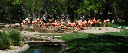 Tur Tatil Turizm Yazılımı - Tur Tatil Turizm Scripti