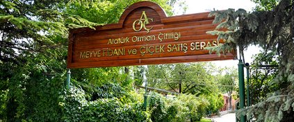 Tur Tatil Turizm Yazılımı - Tur Tatil Turizm Scripti