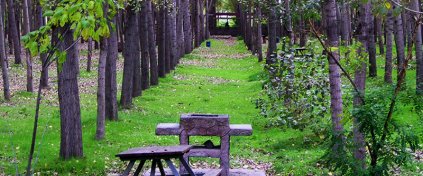 Tur Tatil Turizm Yazılımı - Tur Tatil Turizm Scripti