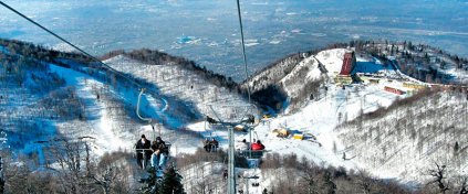 Tur Tatil Turizm Yazılımı - Tur Tatil Turizm Scripti