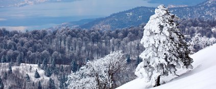 Tur Tatil Turizm Yazılımı - Tur Tatil Turizm Scripti