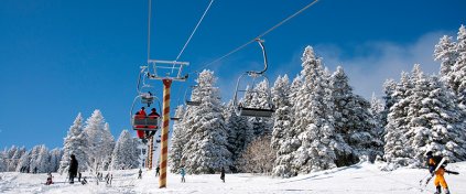 Tur Tatil Turizm Yazılımı - Tur Tatil Turizm Scripti