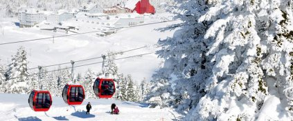 Tur Tatil Turizm Yazılımı - Tur Tatil Turizm Scripti
