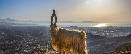 Tur Tatil Turizm Yazılımı - Tur Tatil Turizm Scripti