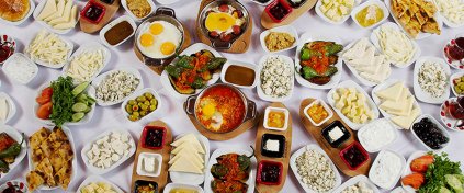 Tur Tatil Turizm Yazılımı - Tur Tatil Turizm Scripti